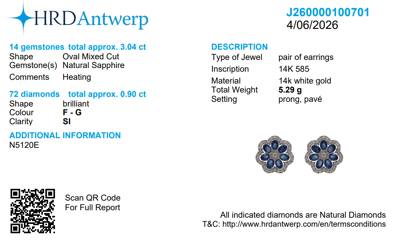 Blue Sapphire Diamond Bloom Stud Earrings