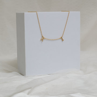 Two Initial Diamond Charm Necklace - IPD2046X2054