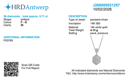 Hexagon Diamond Pendant Necklace