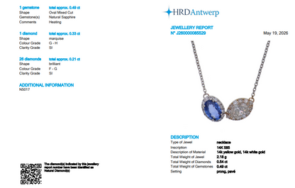 Natural Sapphire Diamond Two-Stone Necklace