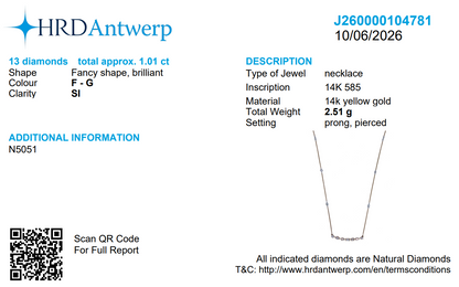 Multi-Shape Fancy Diamond Bar Necklace
