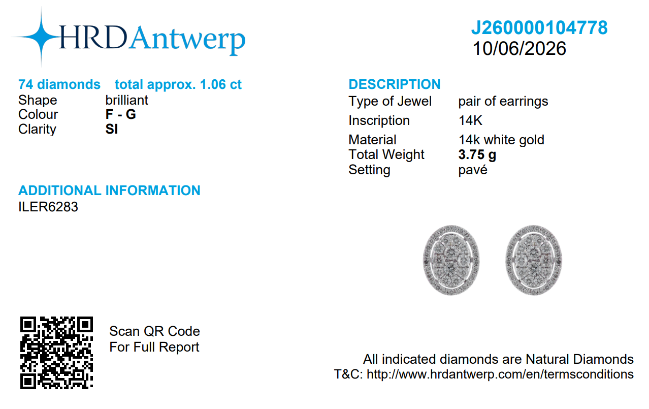 Oval Diamond Halo Cluster Stud Earrings
