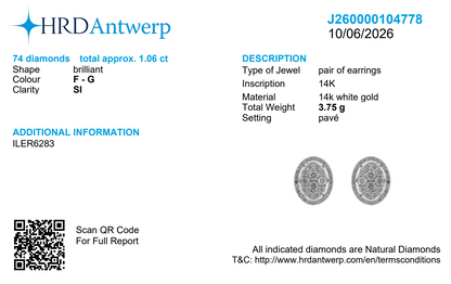 Oval Diamond Halo Cluster Stud Earrings